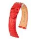 Regent RED