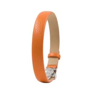 HIRSCH Seth, orange